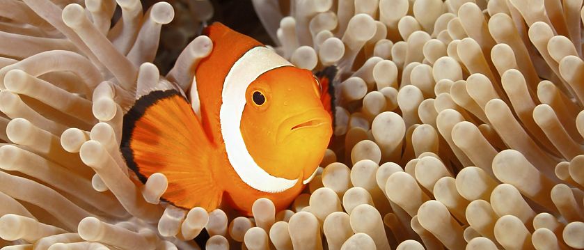 Image Source: ©cbpix - Fotolia.com