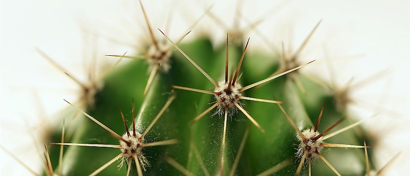 Image Source: ©Heiko Küverling - Fotolia.com