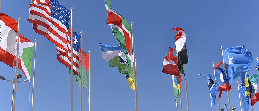 Bildquelle: @lemonvlad / Unsplash