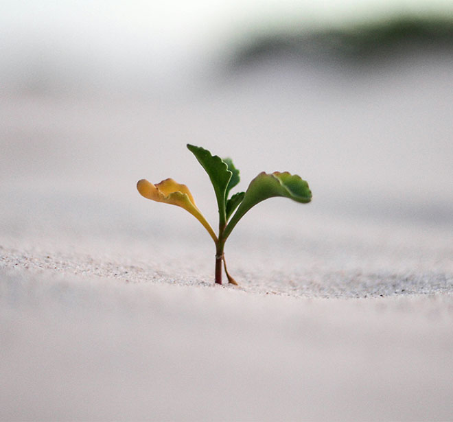 BrandTrust Webiare - Aufzeichnungen BrandTrust Webiare - Aufzeichnungen