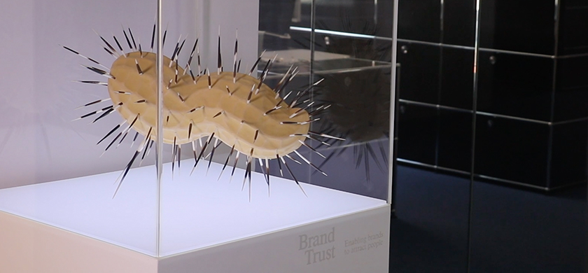 Kunstwerk im BrandTrust-Büro in Nürnberg, das eine Erdnuss darstellt, die mit Stacheln bedeckt ist.